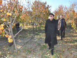 Yetişdirdiği Meyveleri İkram Ediyor