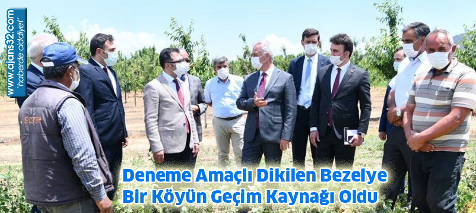 Deneme Amaçlı Dikilen Bezelye Bir Köyün Geçim Kaynağı Oldu