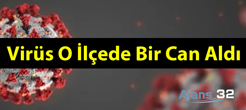 Virüs O İlçede Can Aldı