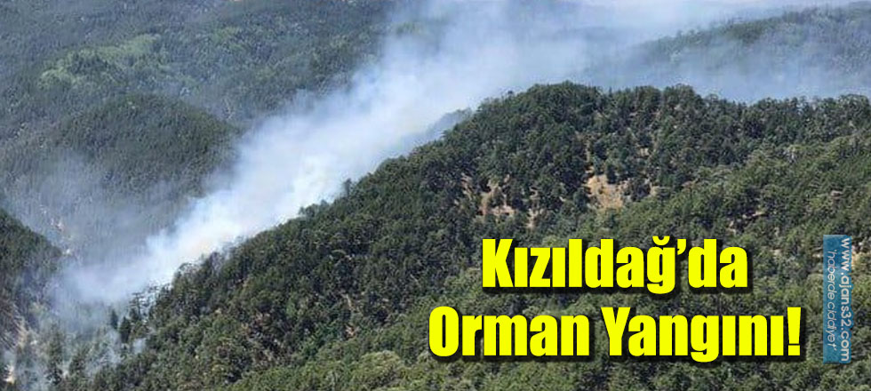 Kızıldağ’da Orman Yangını!