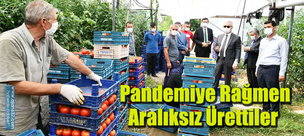 Pandemiye Rağmen Aralıksız Ürettiler