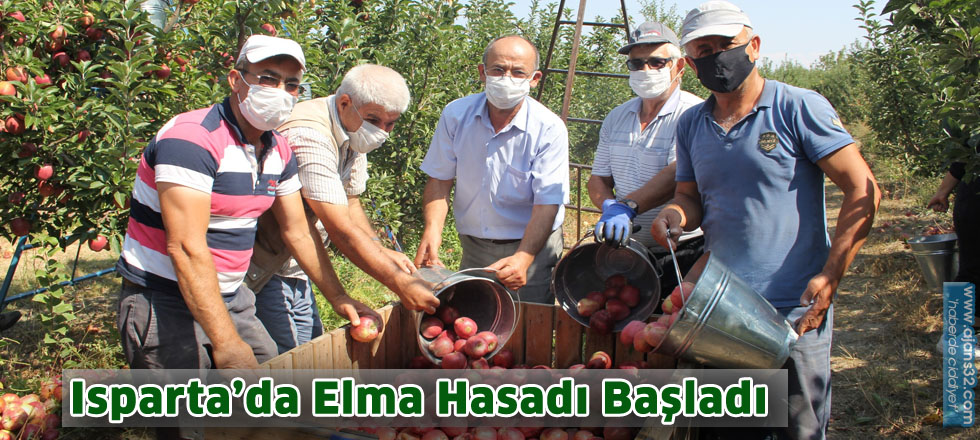 Isparta’da Elma Hasadı Başladı