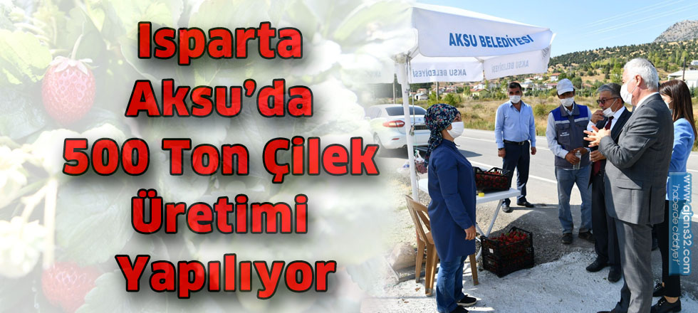 Isparta Aksu’da 500 Ton Çilek Üretimi Yapılıyor