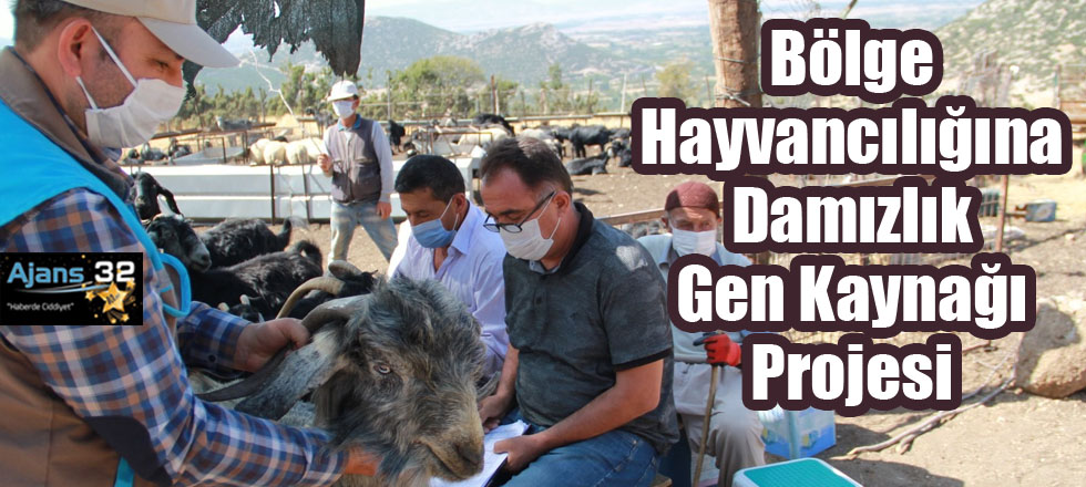 Bölge Hayvancılığına Damızlık Gen Kaynağı Oluşturacak Proje