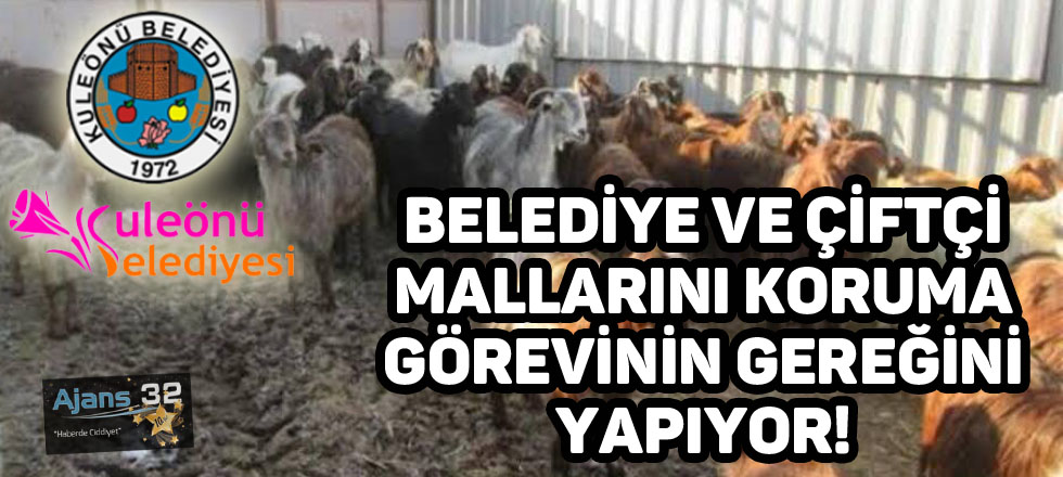 Belediye ve Çiftçi Mallarını Koruma Görevinin Gereğini Yapıyor!