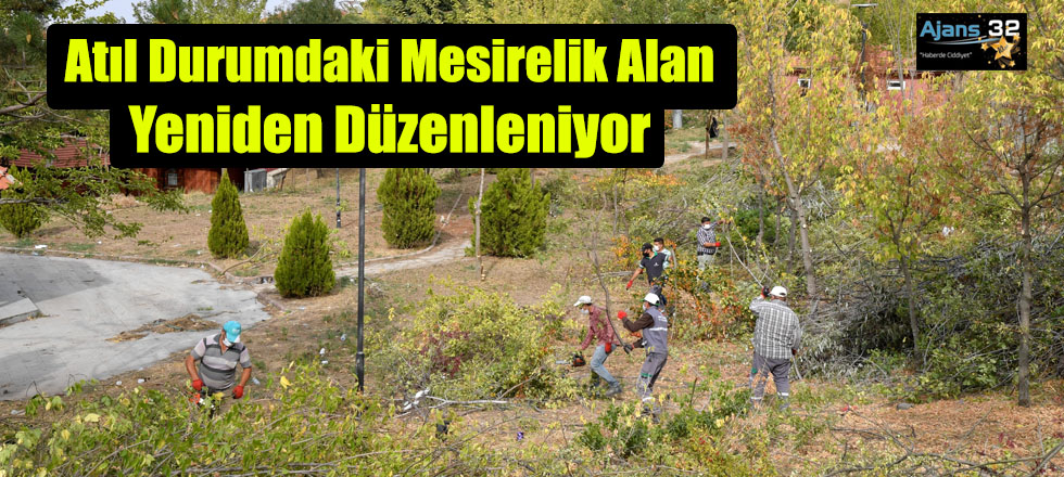 Atıl Durumdaki Mesirelik Alan Yeniden Düzenleniyor