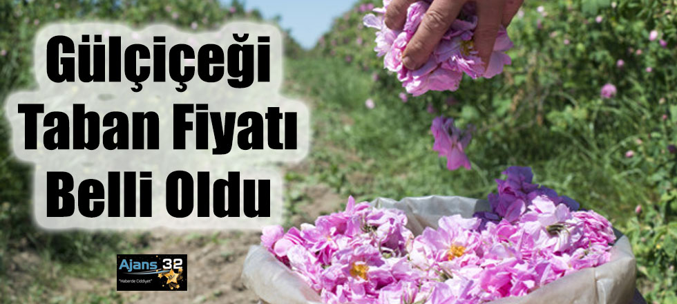 Gül Çiçeği Taban Fiyatı Belli Oldu