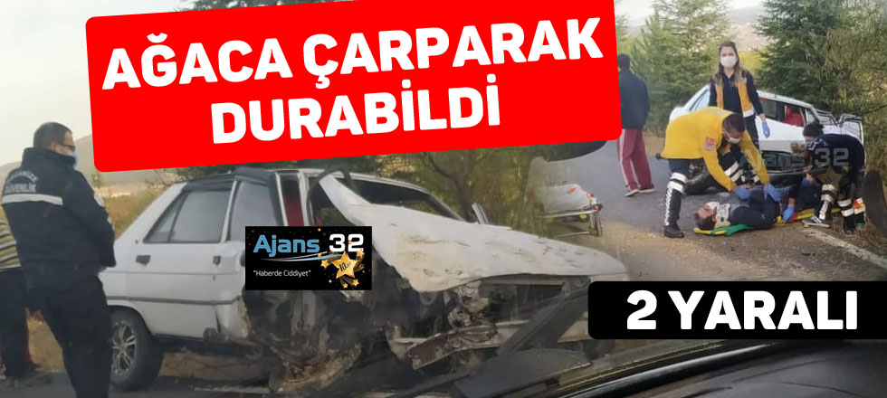 Ağaca Çarparak Durabildi