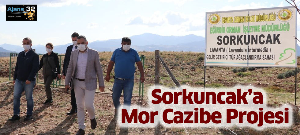 Sorkuncak’a Mor Cazibe Projesi