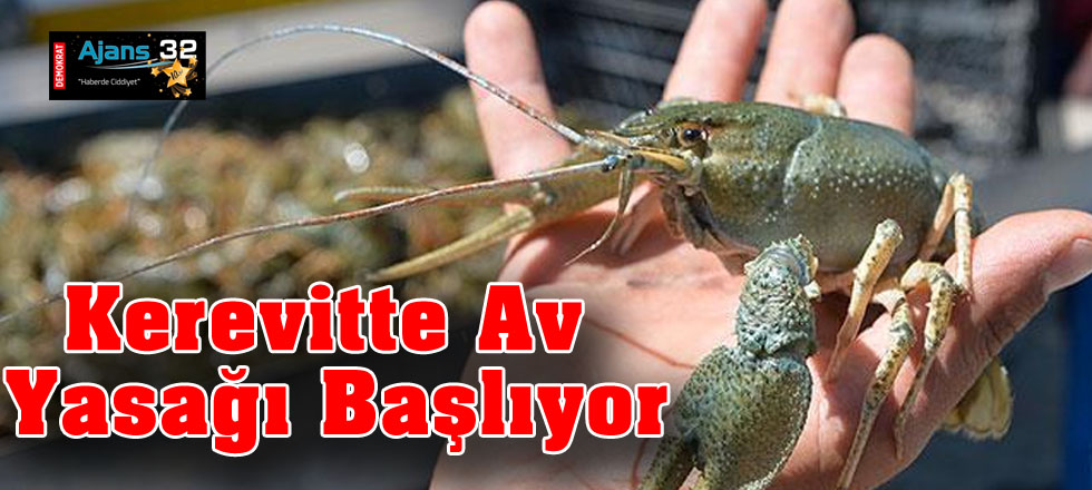 Kerevitte Av Yasağı Başlıyor