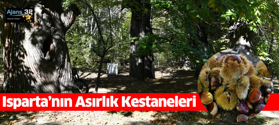 Isparta’nın Asırlık Kestaneleri