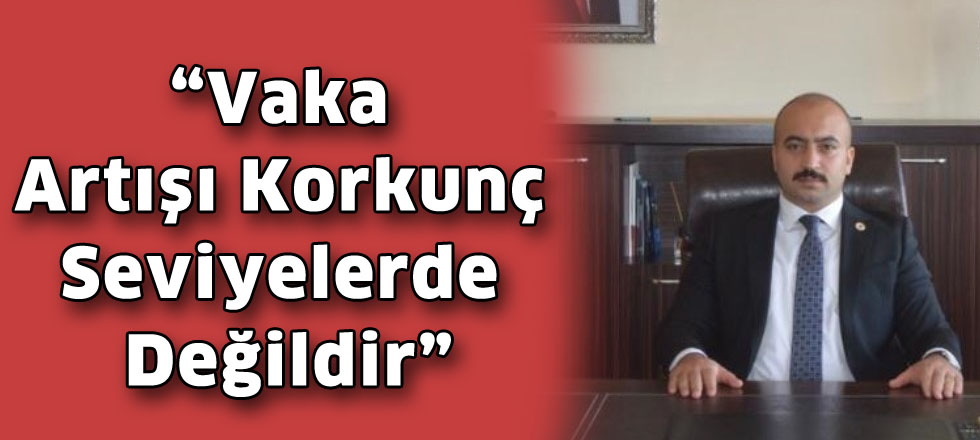 “Vaka artışı korkunç seviyelerde değildir”