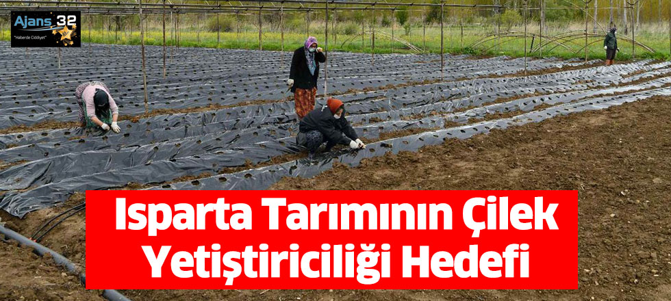 Isparta Tarımının Çilek Yetiştiriciliği Hedefi