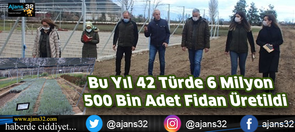 Bu Yıl 42 Türde 6 Milyon 500 Bin Adet Fidan Üretildi