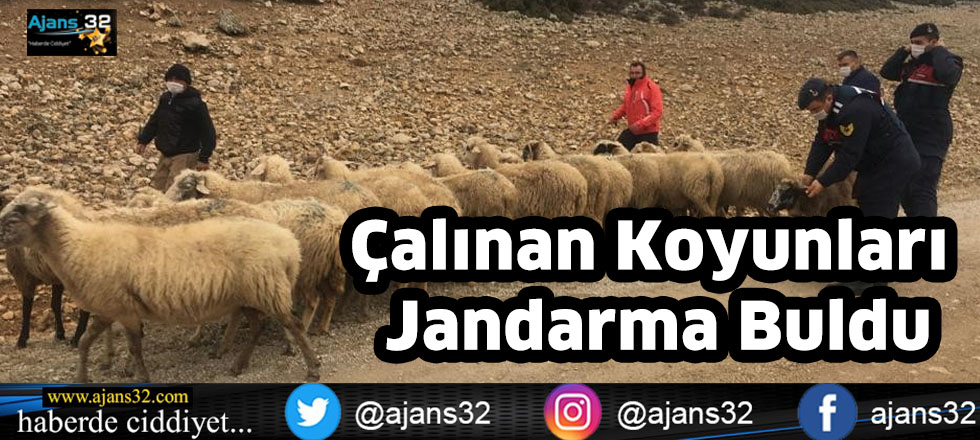 Çalınan Koyunları Jandarma Buldu