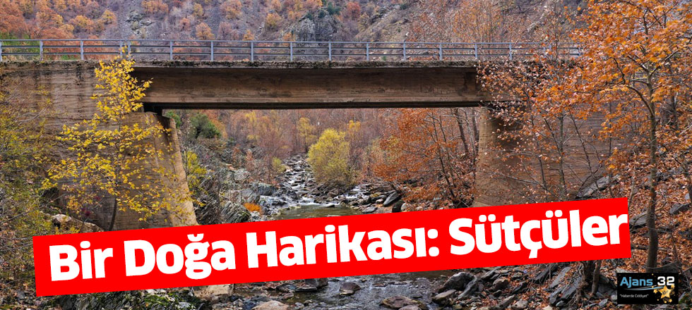 Bir Doğa Harikası: Sütçüler