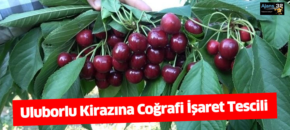 Uluborlu Kirazına Coğrafi İşaret Tescili