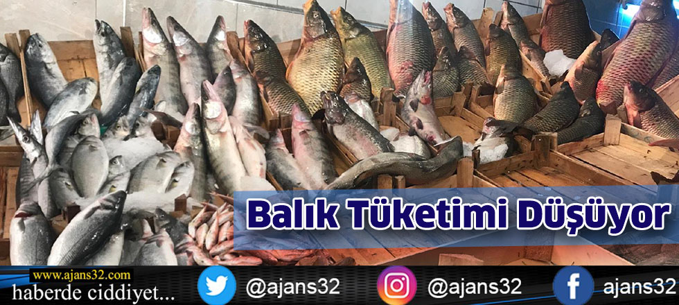 Balık Tüketimi Düşüyor