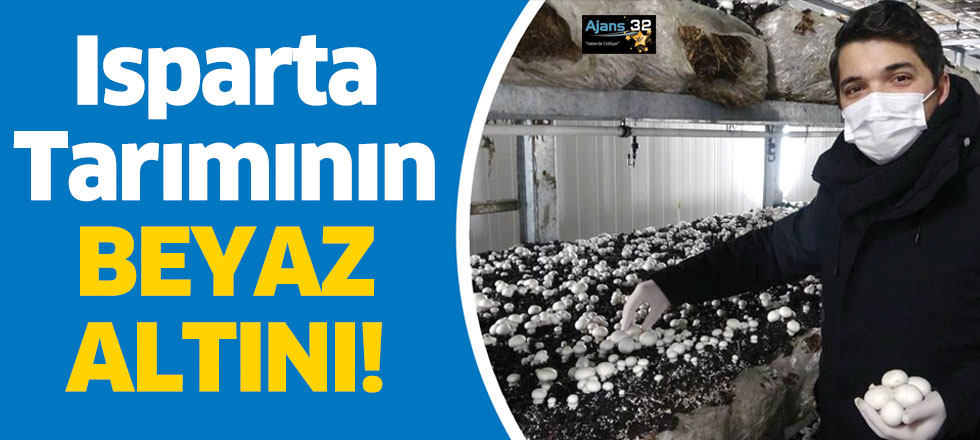 Isparta Tarımının Beyaz Altını!