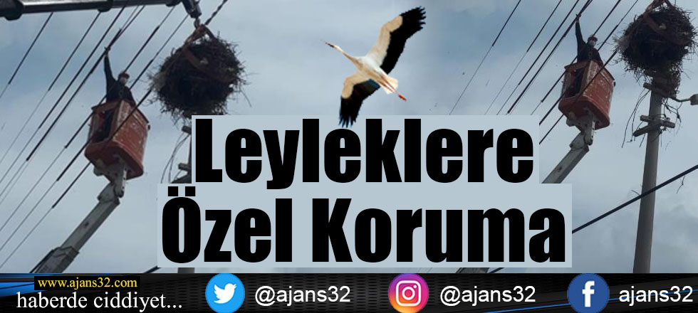 Leyleklere Özel Koruma