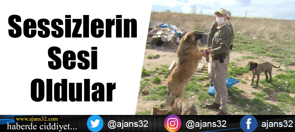 Sessizlerin Sesi Oldular