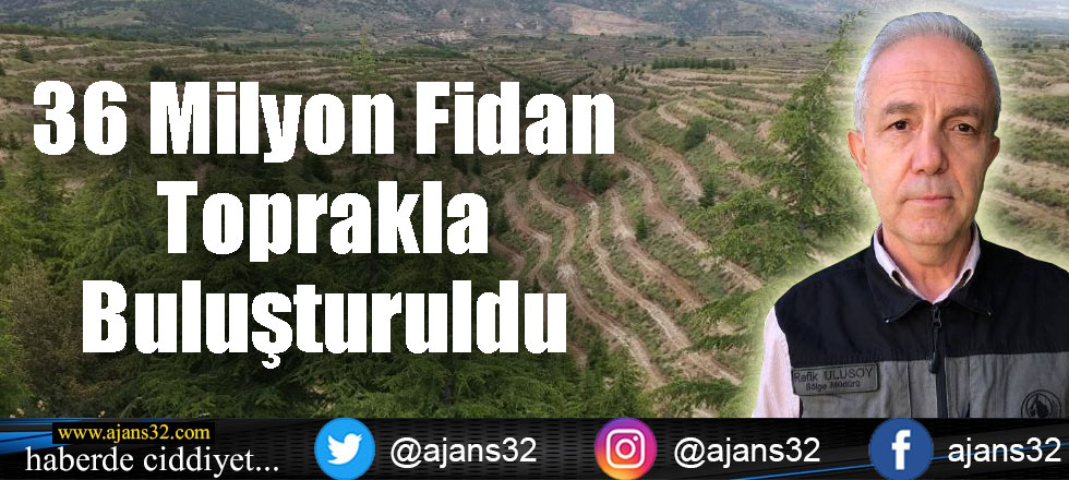 36 Milyon Fidan Toprakla Buluşturuldu