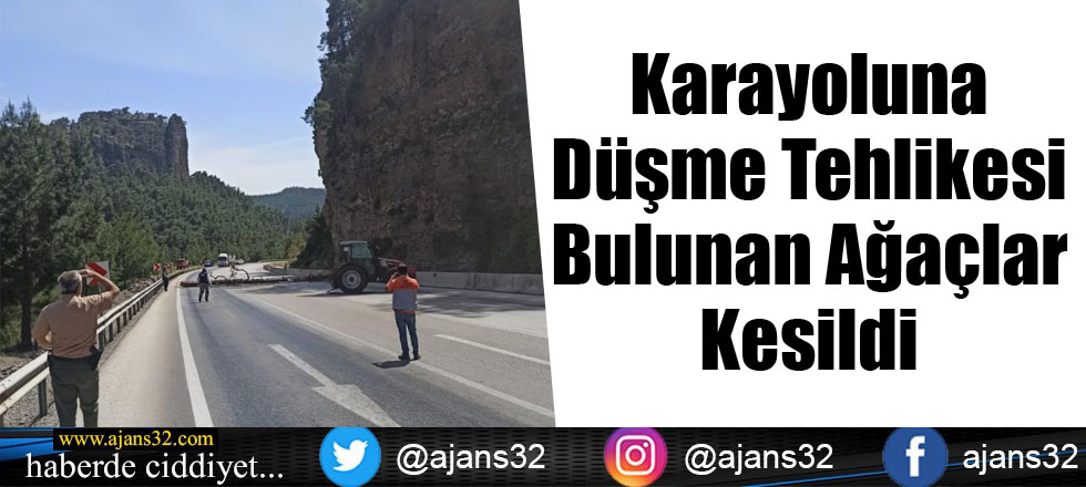 Karayoluna Düşme Tehlikesi Bulunan Ağaçlar Kesildi