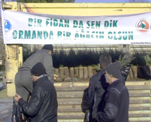 Orman Bölge Müdürlüğü Ücretsiz Fidan Dağıtıyor