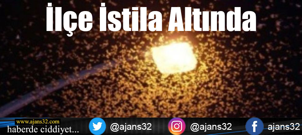 İlçe İstila Altında