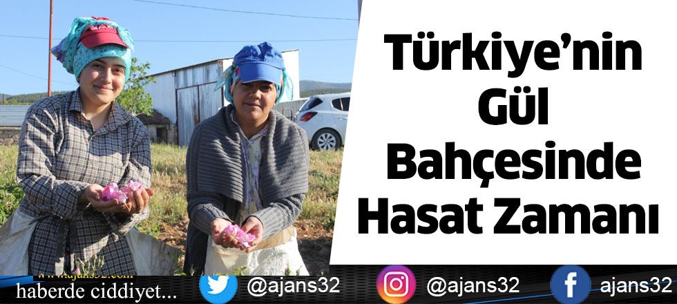 Türkiye’nin Gül Bahçesinde Hasat Zamanı