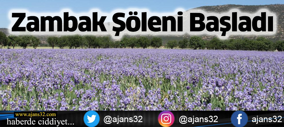 Zambak Şöleni Başladı