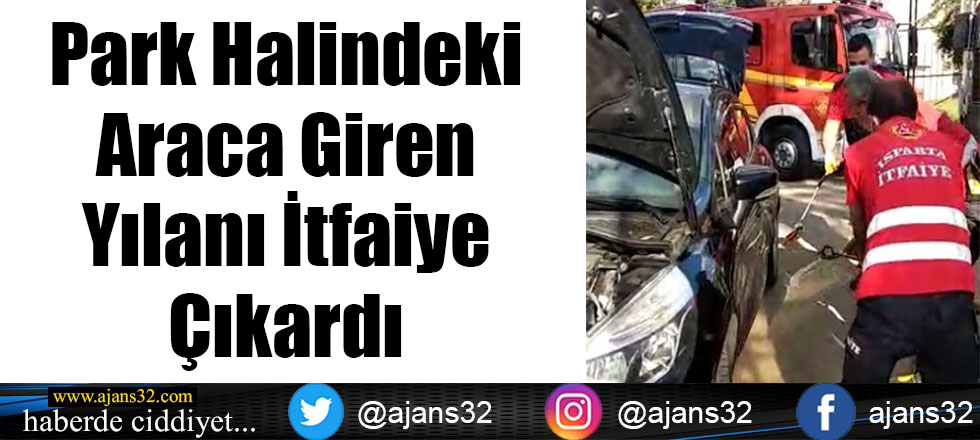 Park Halindeki Araca Giren Yılanı İtfaiye Çıkardı