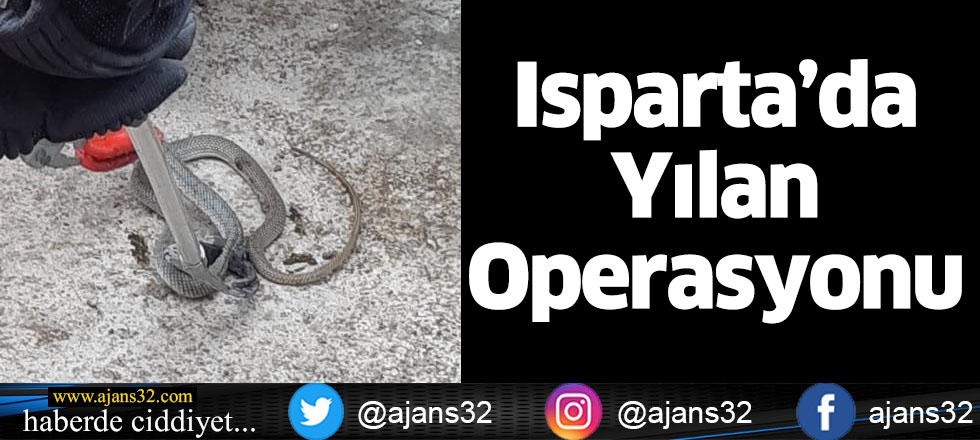 Isparta’da Yılan Operasyonu