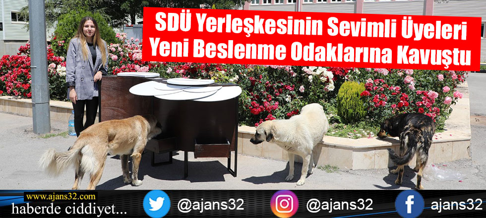 SDÜ Yerleşkesinin Sevimli Üyeleri Yeni Beslenme Odaklarına Kavuştu