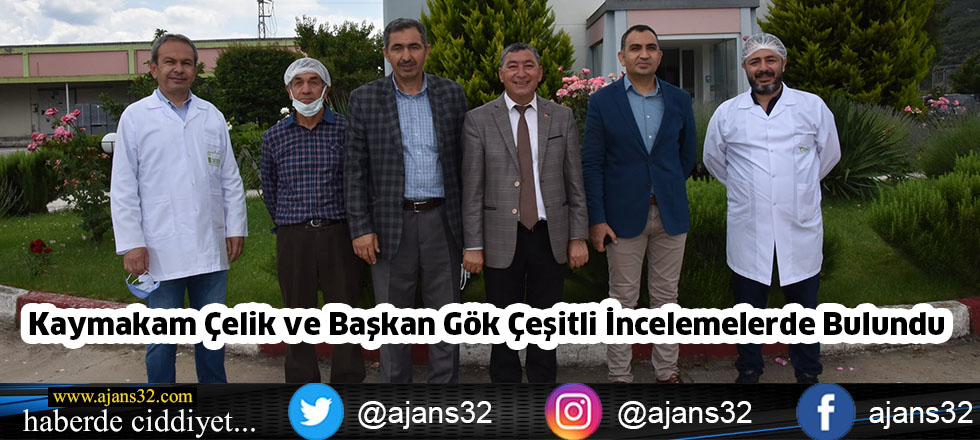 Kaymakam Çelik ve Başkan Gök  Çeşitli İncelemelerde Bulundu