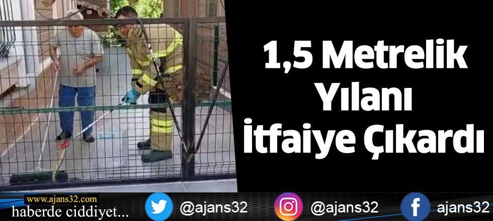 1,5 Metrelik Yılanı İtfaiye Çıkardı