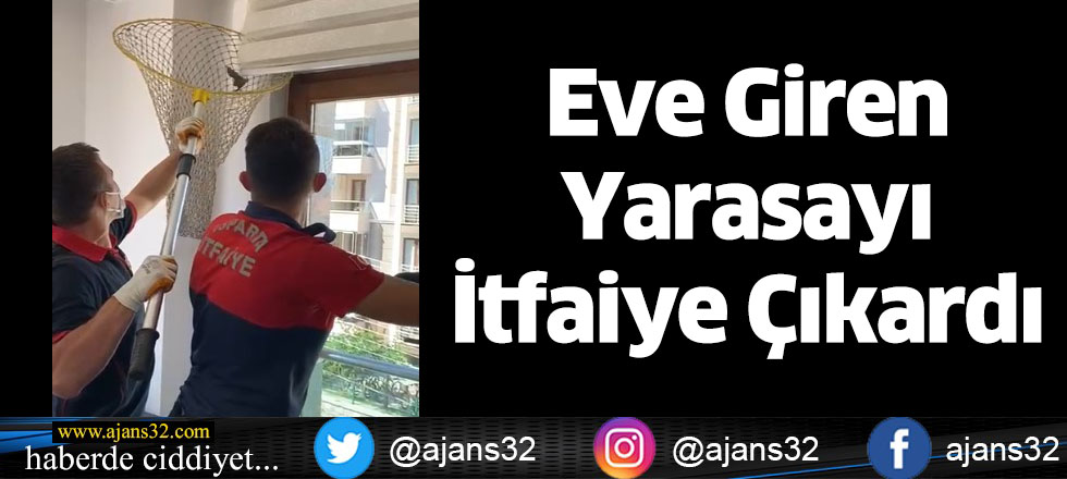 Eve Giren Yarasayı İtfaiye Çıkardı