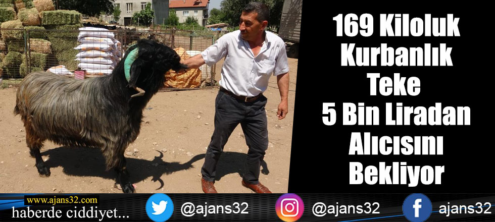 169 Kiloluk Kurbanlık Teke 5 Bin Liradan Alıcısını Bekliyor