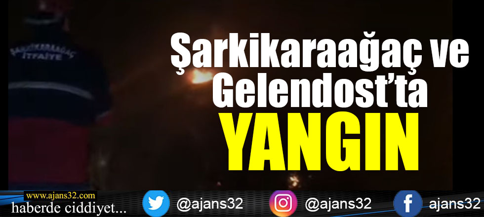 Gelendost ve Şarkikaraağaç'ta Yangın