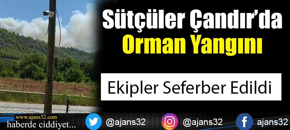 Sütçüler'de Orman Yangını