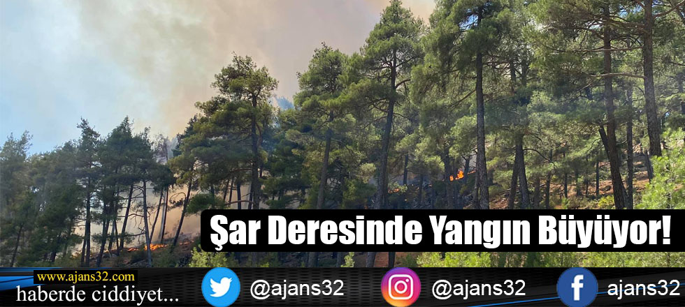 Şar Deresinde Yangın Büyüyor