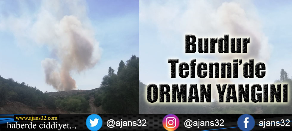 Burdur Tefenni'de Orman Yangını