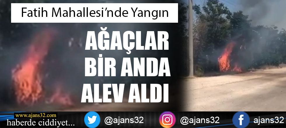 Ağaçlar Bir Anda Alev Aldı