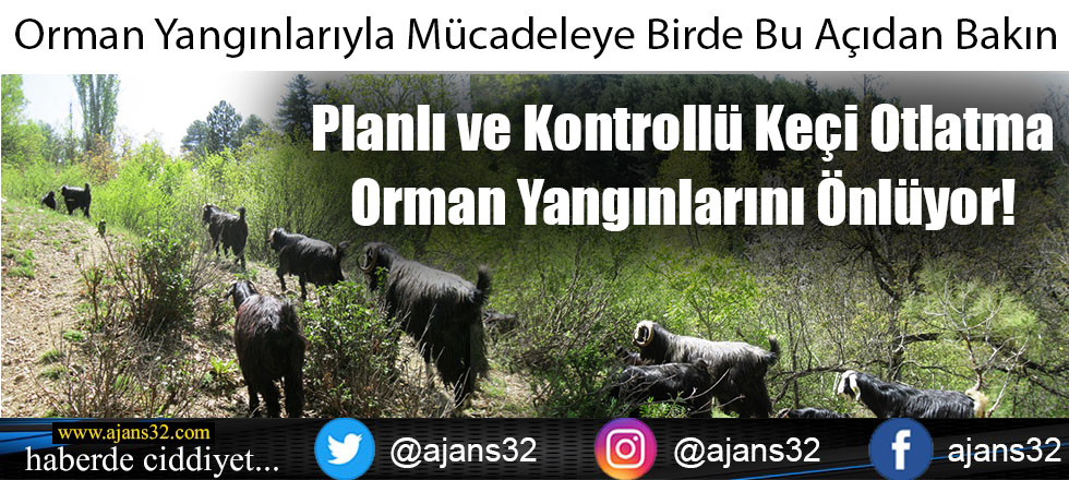 Orman Yangınlarıyla Mücadeleye Birde Bu Açıdan Bakın