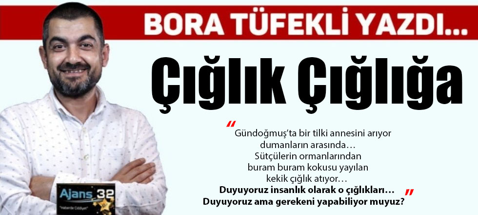 Çığlık Çığlığa