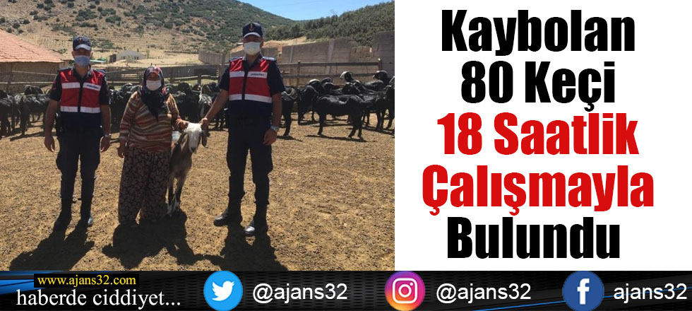 Kaybolan 80 Keçi 18 Saatlik Çalışmayla Bulundu