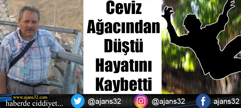 Ceviz Ağacından Düşen Adam Hayatını Kaybetti