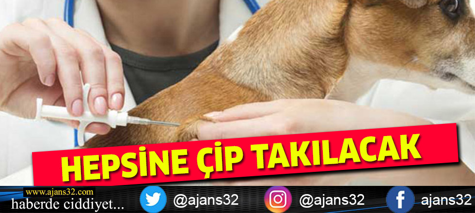 Hepsine Çip Takılacak