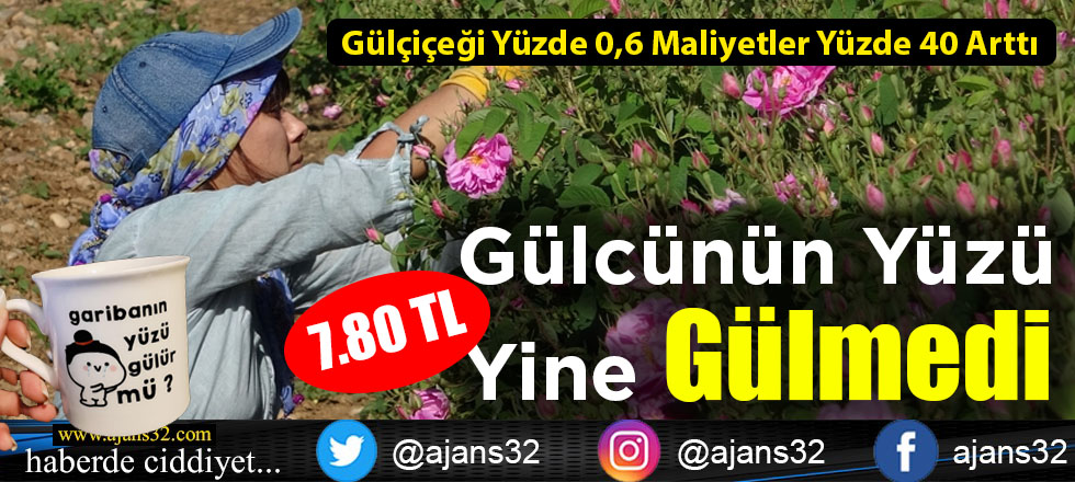 Gülcünün Yüzü Yine Gülmedi