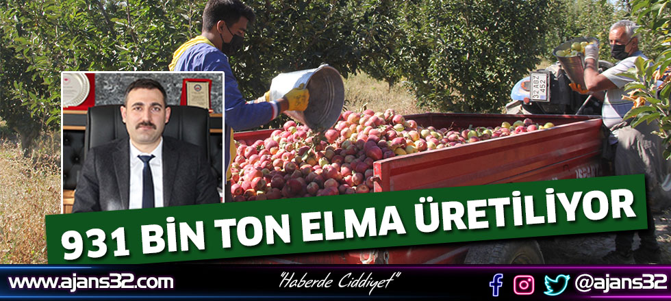 931 Bin Ton Elma Üretiliyor